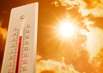 Когда жара — не просто погода…