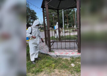 Сарканский район дезинфицируют от ядовитых пауков