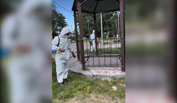 Сарканский район дезинфицируют от ядовитых пауков