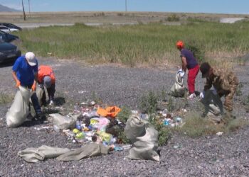 Каково сегодня санитарное состояние побережья озера Алаколь