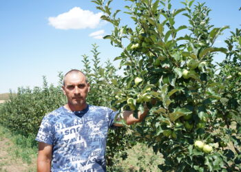 Семейная ферма Савченко из Теректы – пример преданности земле