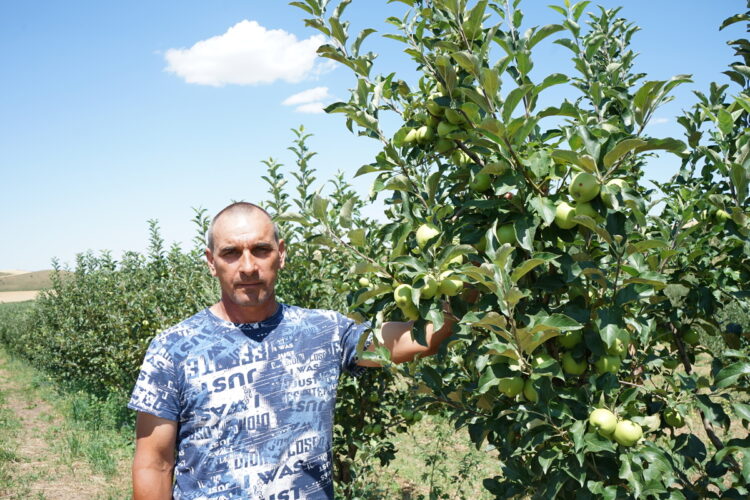 Семейная ферма Савченко из Теректы – пример преданности земле