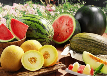 Летний соблазн: арбузы и дыни с трассы могут стоить вам здоровья