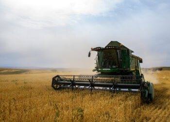 Водосберегающие технологии все чаще применяют в Каратальском районе