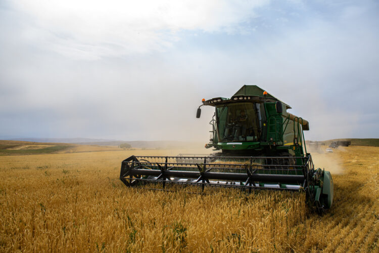 Водосберегающие технологии все чаще применяют в Каратальском районе