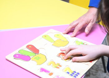 Перспективы развития коррекционного детсада «Дана» обсудили в Сарканском районе