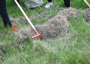 «Таза Қазақстан» в Текели: город преображается силами жителей