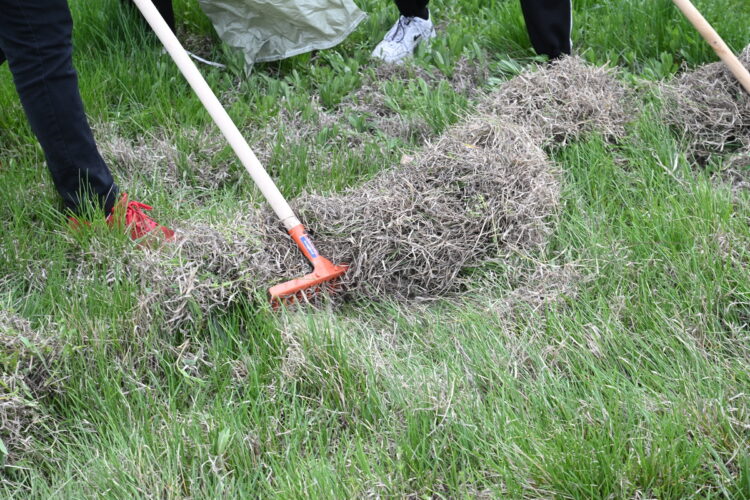 «Таза Қазақстан» в Текели: город преображается силами жителей