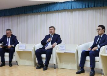 В Жетісу обсудили реформы в газовой сфере