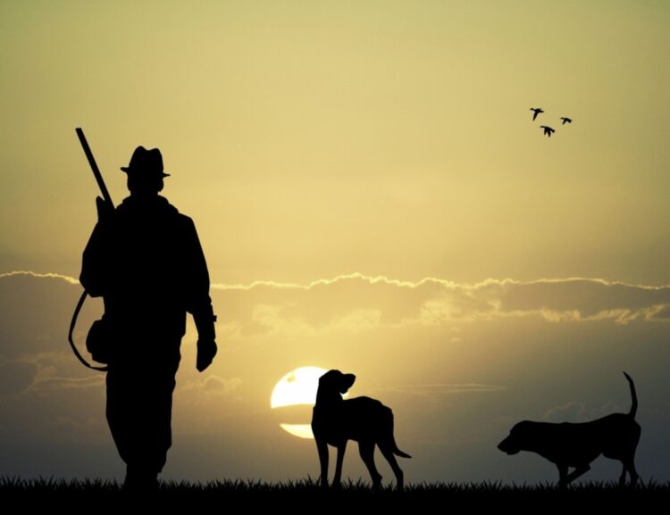 Жетісу облысының аумағында күзгі аңшылық маусымы ашылды