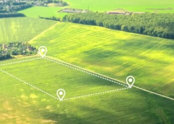 В  Жетісу возвращено в госфонд 1,6 тысячи га неэффективно используемой земли