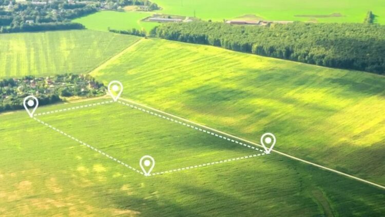 В  Жетісу возвращено в госфонд 1,6 тысячи га неэффективно используемой земли