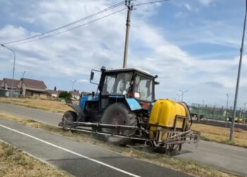 В Талдыкоргане проводится дезинфекция от каракуртов