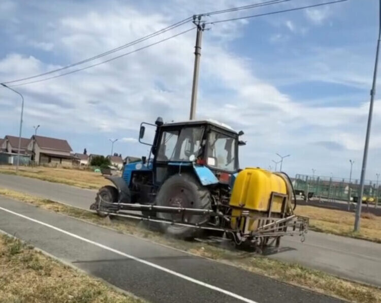 В Талдыкоргане проводится дезинфекция от каракуртов