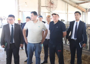 Депутат Мажилиса Парламента РК посетил Каратальский район