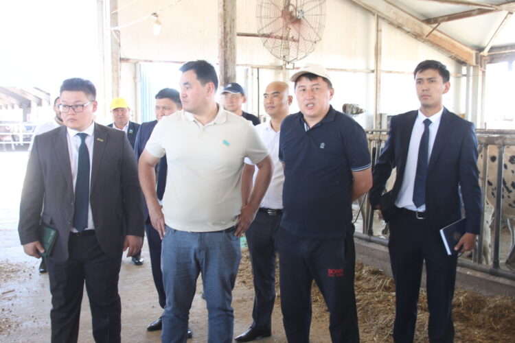 Депутат Мажилиса Парламента РК посетил Каратальский район