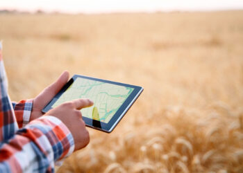 Правительство рассмотрит создание агропродовольственного маркетплейса