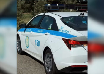 В Жетісу стартует масштабное ОПМ «Перевозчик»