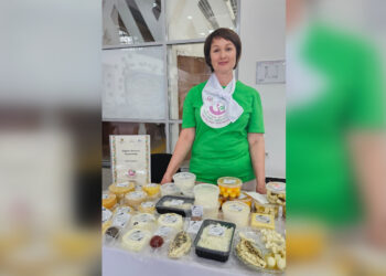 «Одно село – один продукт»: В Жетісу определили 10 лучших бизнес-проектов