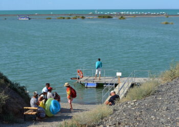 Глава государства потребовал улучшить инфраструктуру турзоны озера Алаколь