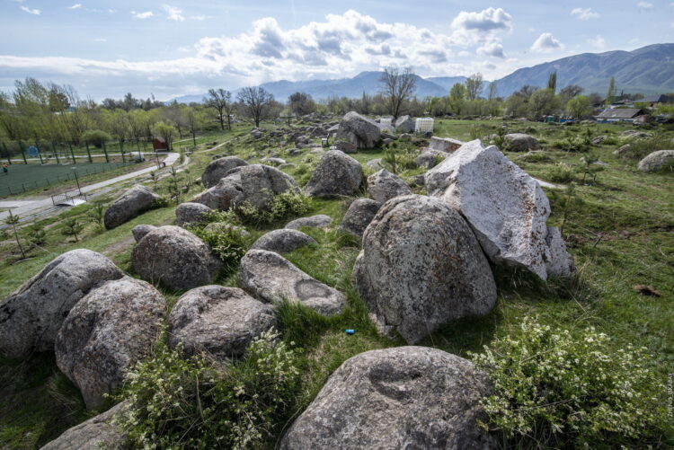 Систему капельного орошения внедряют в зелёных зонах Саркана