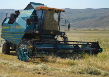 Заготовку грубых кормов активизировали в Алакольском районе