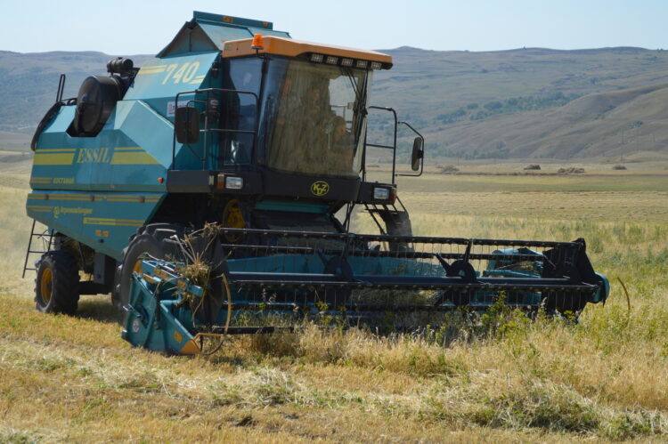 Заготовку грубых кормов активизировали в Алакольском районе