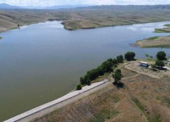 Вегетационный период в Жетісу проходит в штатном режиме