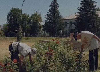 «Чистый четверг» объединяет ескельдинцев в борьбе за экологию