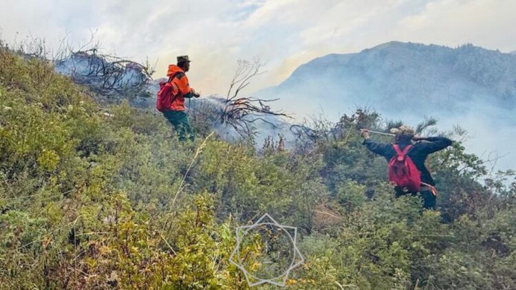 В Алакольском районе локализован крупный пожар в урочище Кокмойын