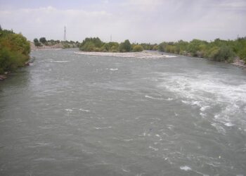 Полицейские Жетiсу предотвратили суицид девушки