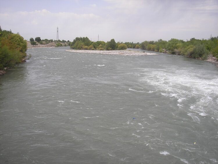 Полицейские Жетiсу предотвратили суицид девушки