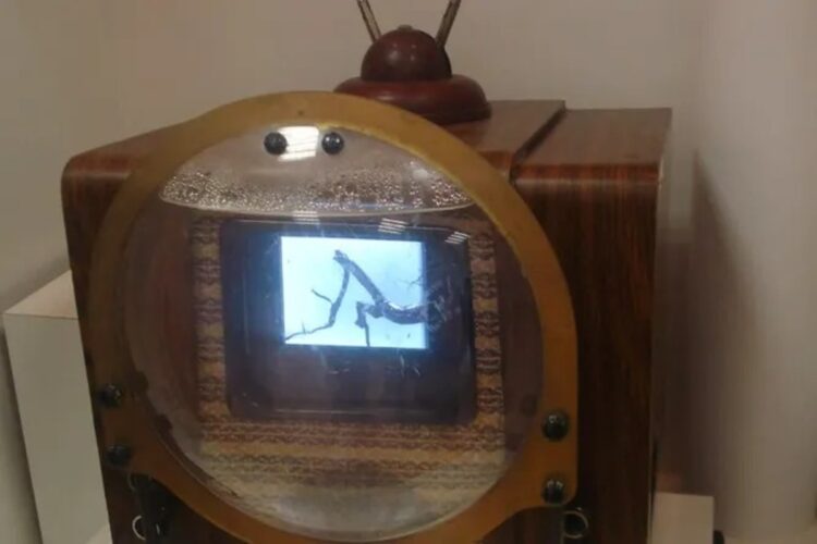 Когда появились первые телевизоры