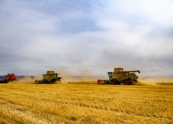 Сев и уборку провели без срывов в Сарканском районе