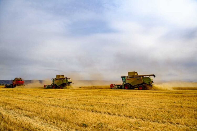 Сев и уборку провели без срывов в Сарканском районе