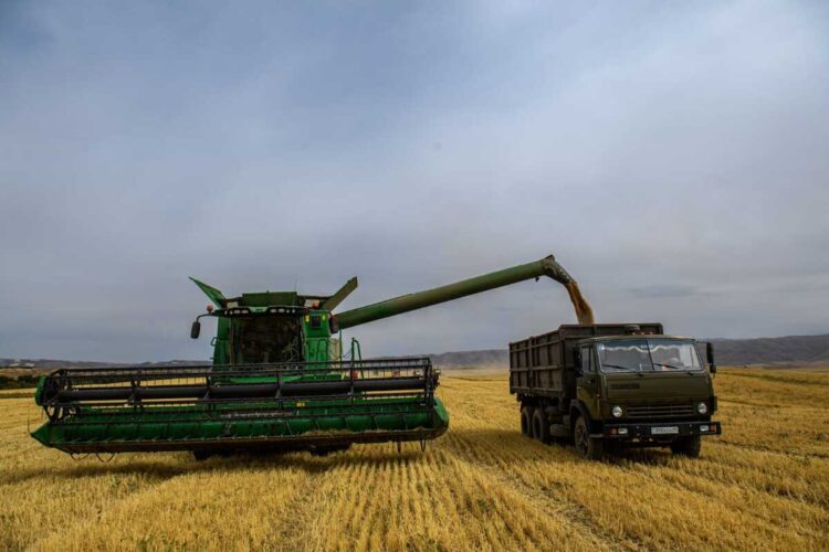 Жетісу наращивает темпы кормозаготовки