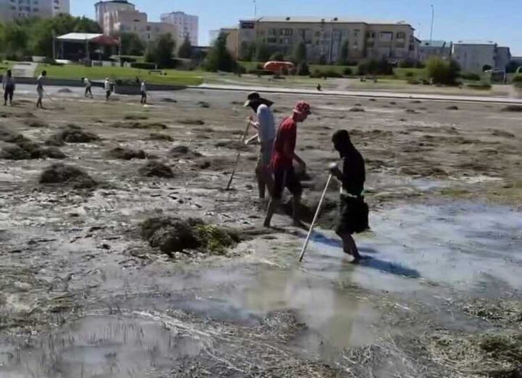 От тины и мусора очищают городской пляж в Талдыкоргане