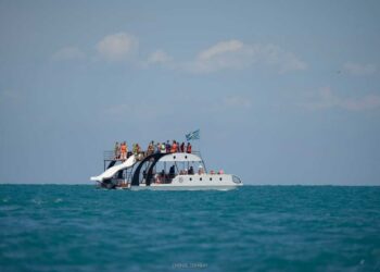 Яблоку негде упасть: рекордное число туристов отдыхает в нынешнем сезоне на Алаколе