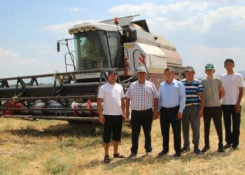 Уборочная страда в самом разгаре в Коксуском районе