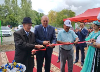 30-летие Конституции РК: В приграничном селе Хоргос открылся ФАП