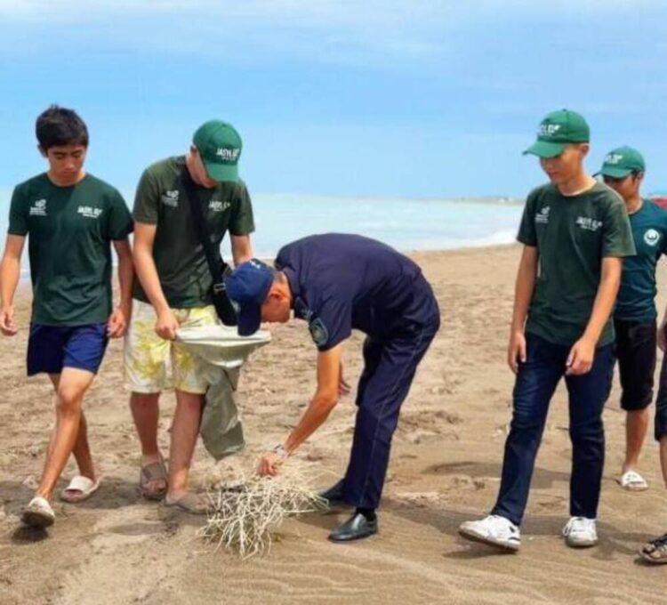 Экоакция «Таза Жағалау» организована на побережье Балхаша
