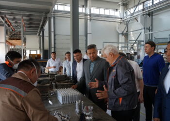 Мажилисмен с рабочим визитом посетил область Жетiсу