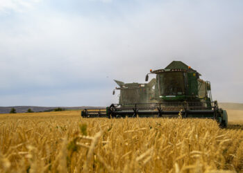 В период хлебоуборки в Жетiсу усилили пожарную безопасность