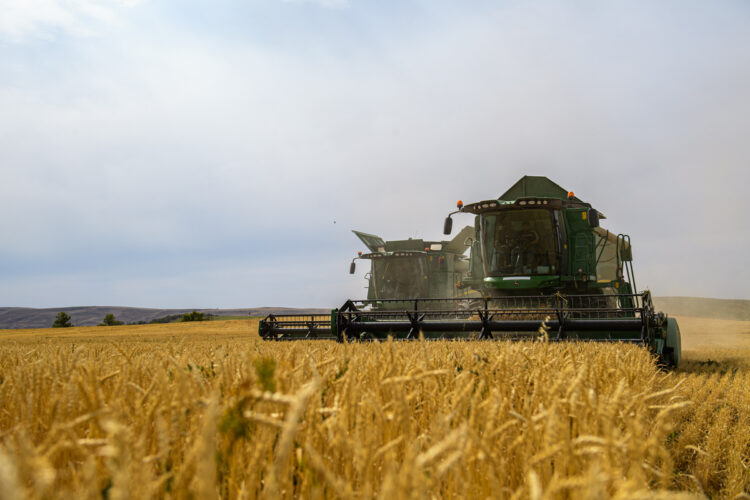 В период хлебоуборки в Жетiсу усилили пожарную безопасность