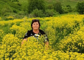 Целебный чай Елены из Сарканского района