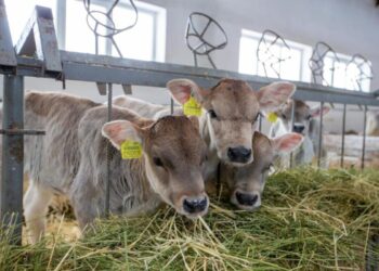 Стартовала Национальная сельскохозяйственная перепись