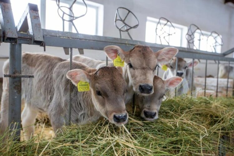 Стартовала Национальная сельскохозяйственная перепись