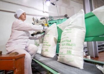 Производство сельхозпродукции активизировали в Жетiсу