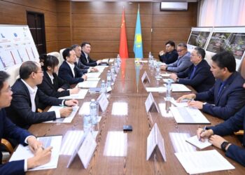 Китайские инвестиции в Жетісу: обсуждение логистического хаба и агропарка