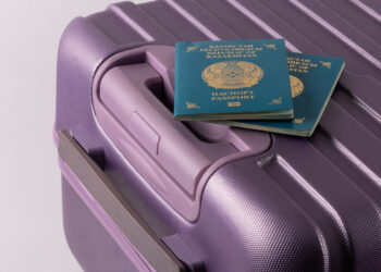 В Жетісу судисполнителя подозревают в содействии бегству алиментщика за границу